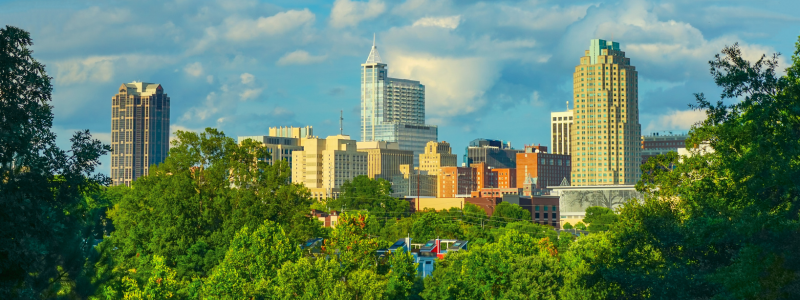Raleigh Skyline